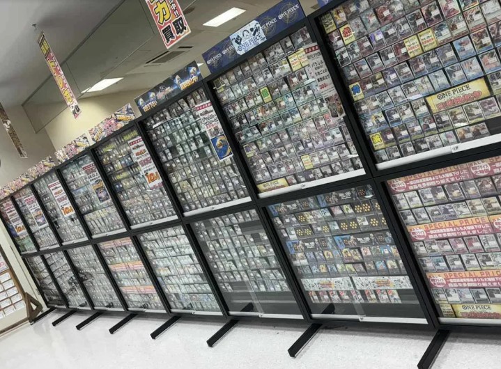 エコロジーモール こどもの国店 5